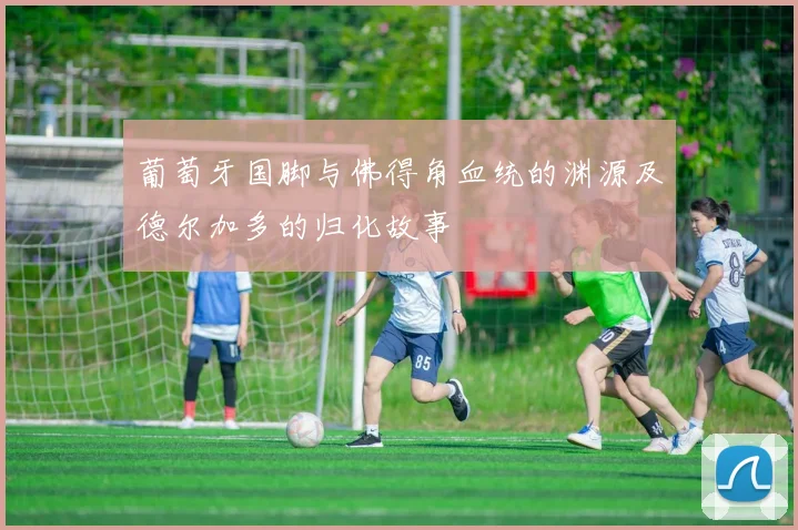 葡萄牙国脚与佛得角血统的渊源及德尔加多的归化故事