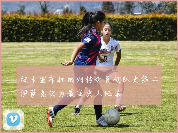 纽卡宣布托纳利转会费创队史第二伊萨克仍为最高卖人纪录